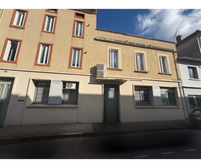 Vente Immobilier Professionnel Local commercial Revel (31250)