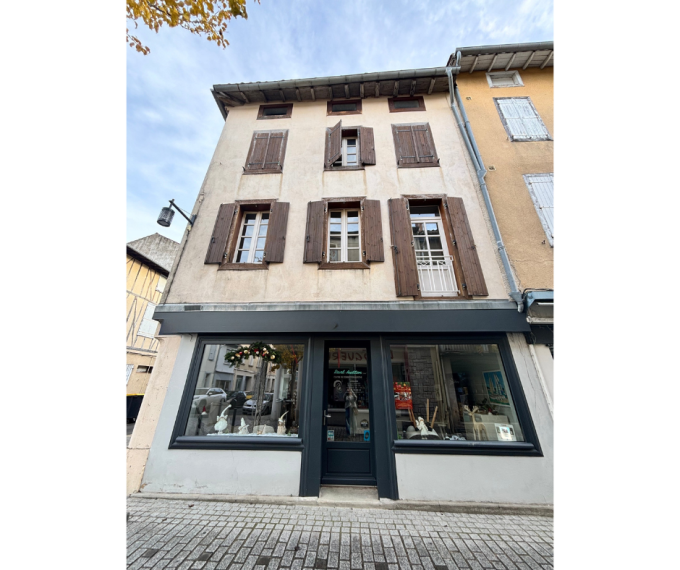 Offres de vente Immeuble Revel (31250)